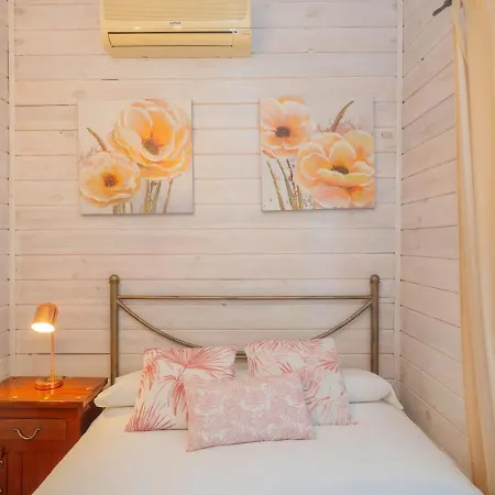 Cubo's Ciruelos Holiday home